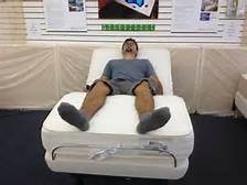 twinsize latex mattress phoenix twin xl extra long