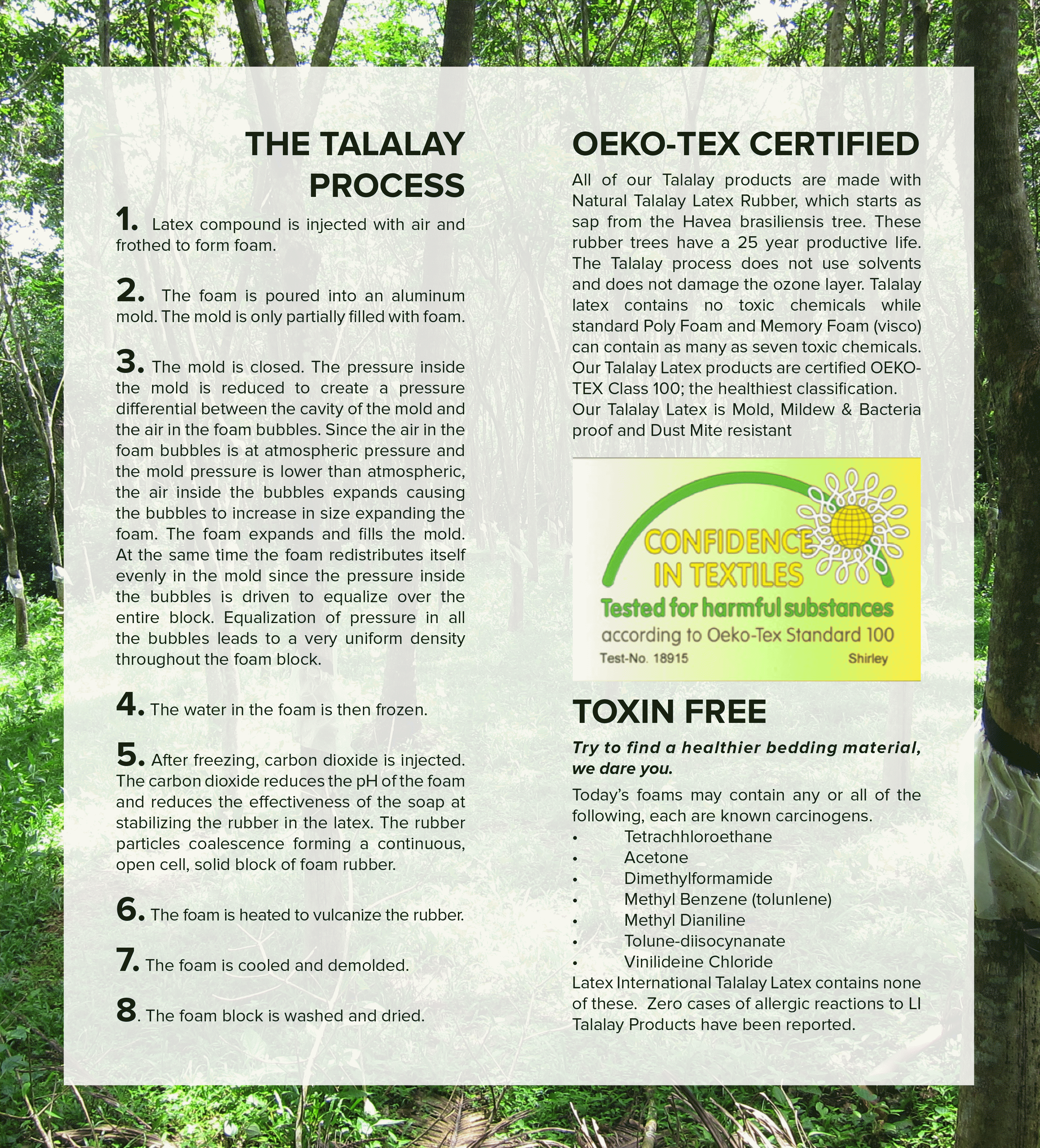 scottsdale latex mattress